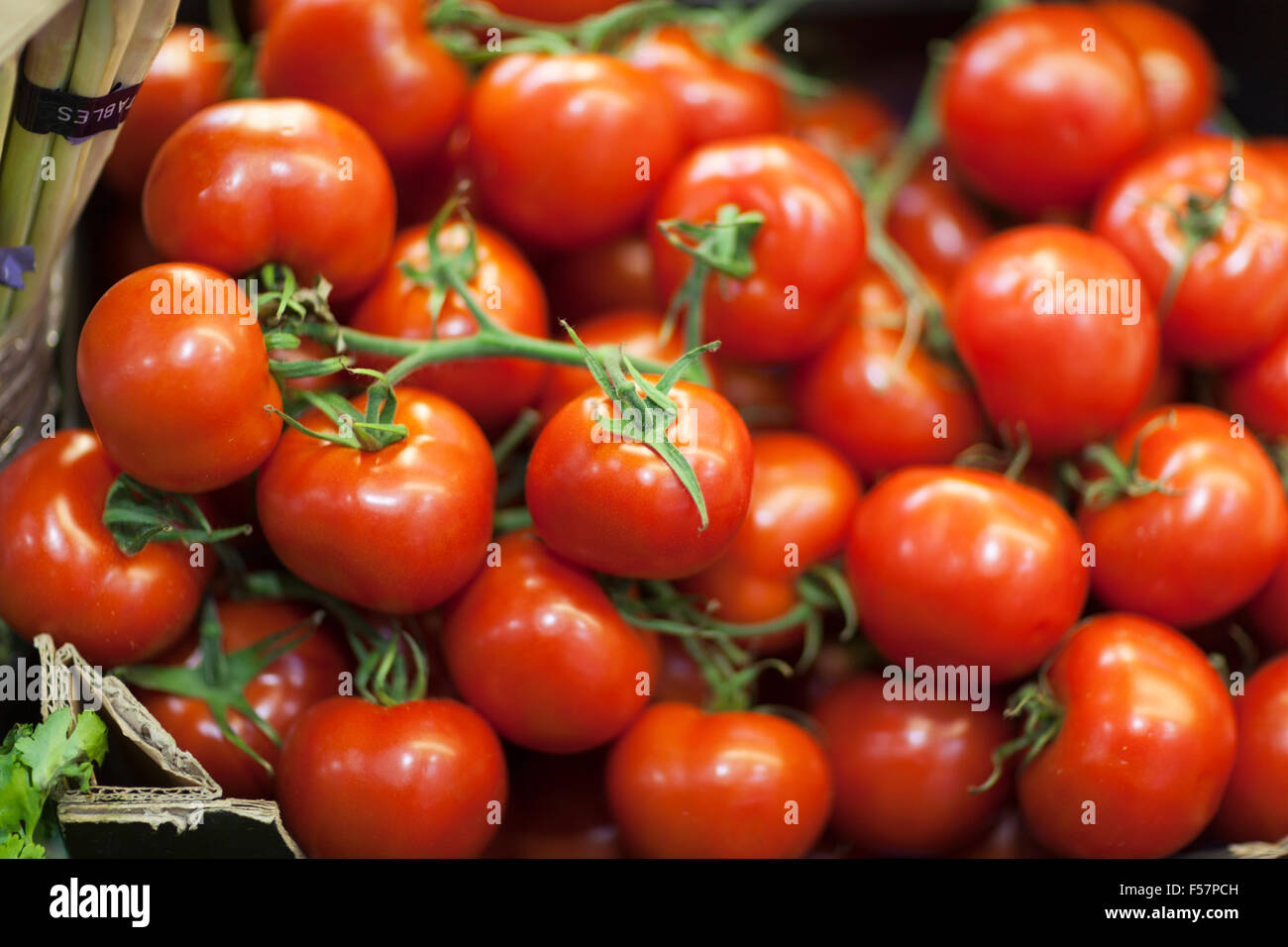 UK, Leeds, les tomates sur la vigne à vendre à Leeds marché. Banque D'Images