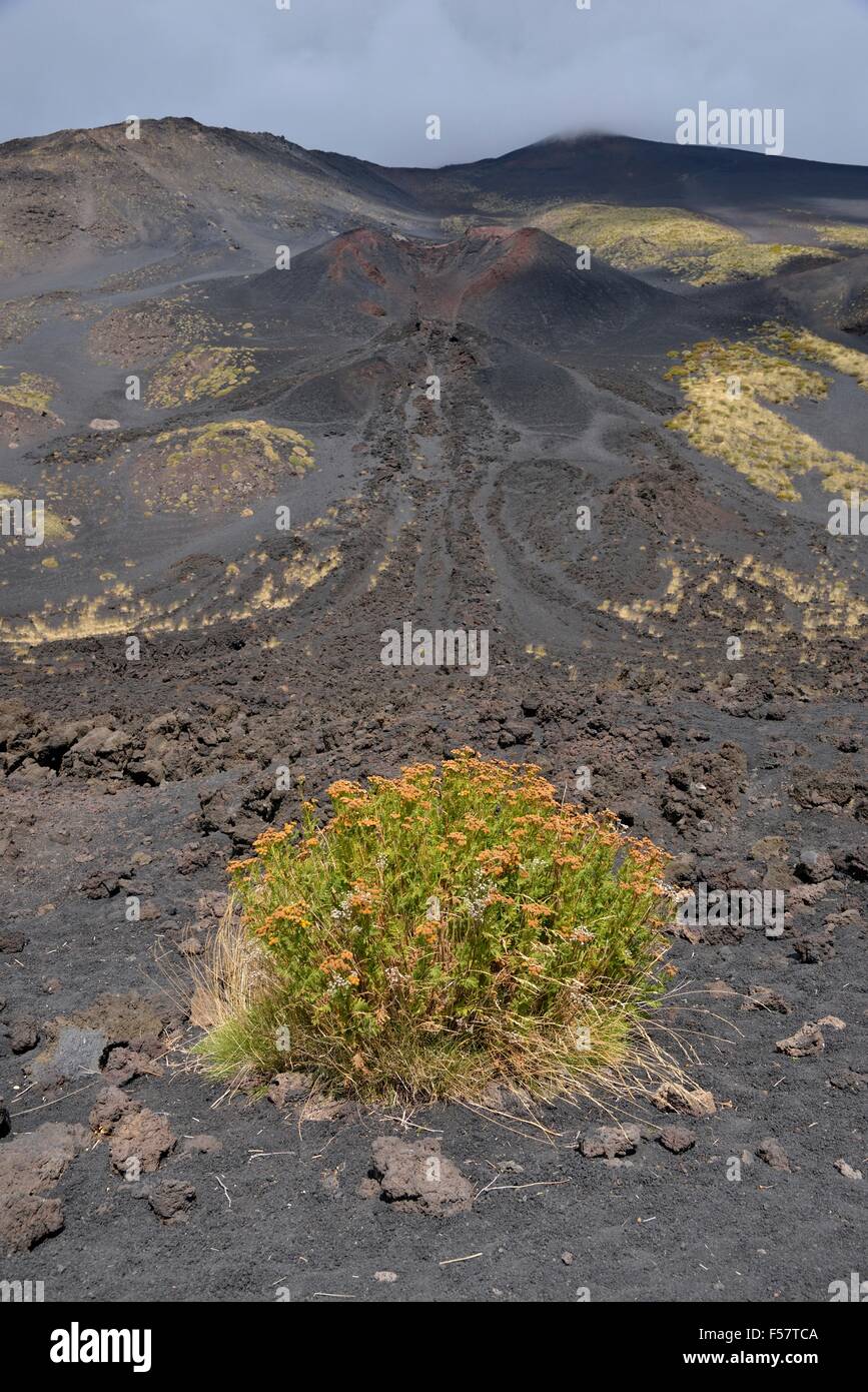 La Montagnola cratère latéral, l'Etna, en Sicile, Italie Banque D'Images