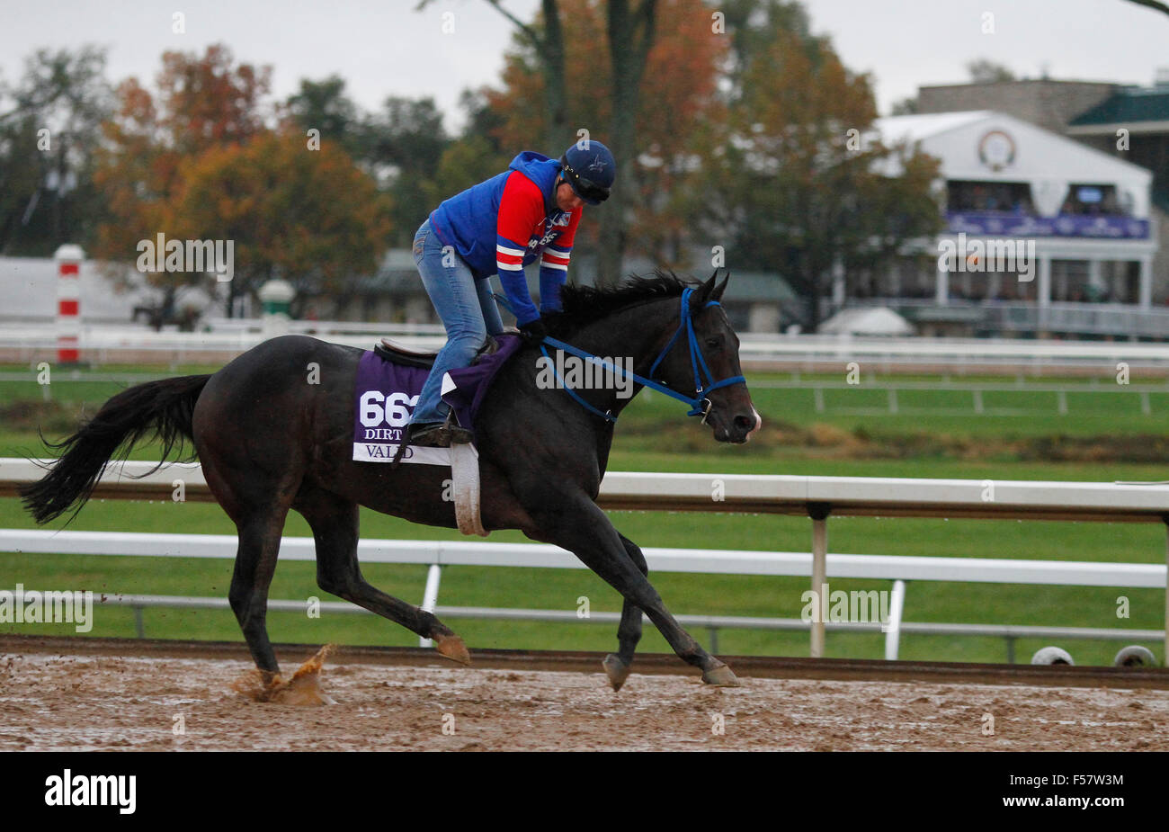 Lexington, Kentucky, USA. 28 Oct, 2015. 28 octobre 2015 : valable, formés par Marcus Vitali et administré par traversé les sabres ferme, est entré pour courir à la Breeder's Cup Mile Saleté de Las Vegas 1 000 000 $. Candice Chavez/ESW/CSM/Alamy Live News Banque D'Images