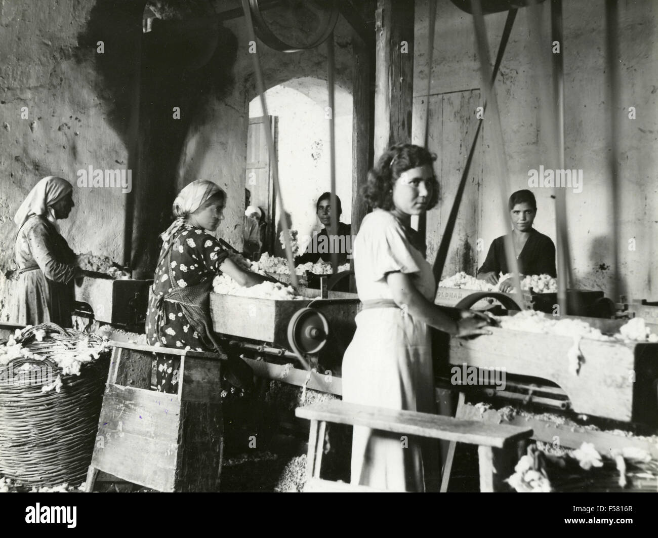 usine de production de coton