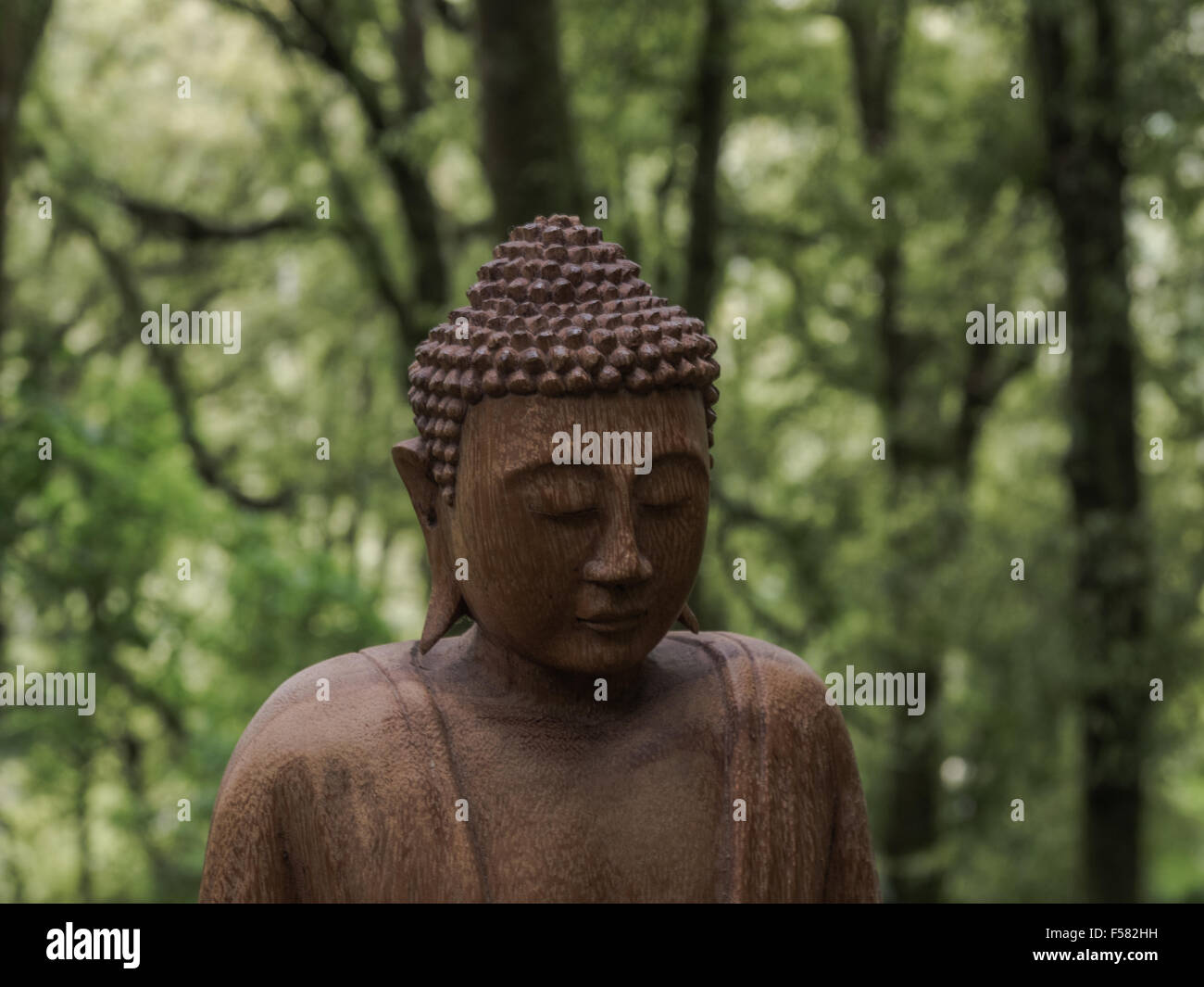 Bouddha méditant dans la forêt Banque D'Images