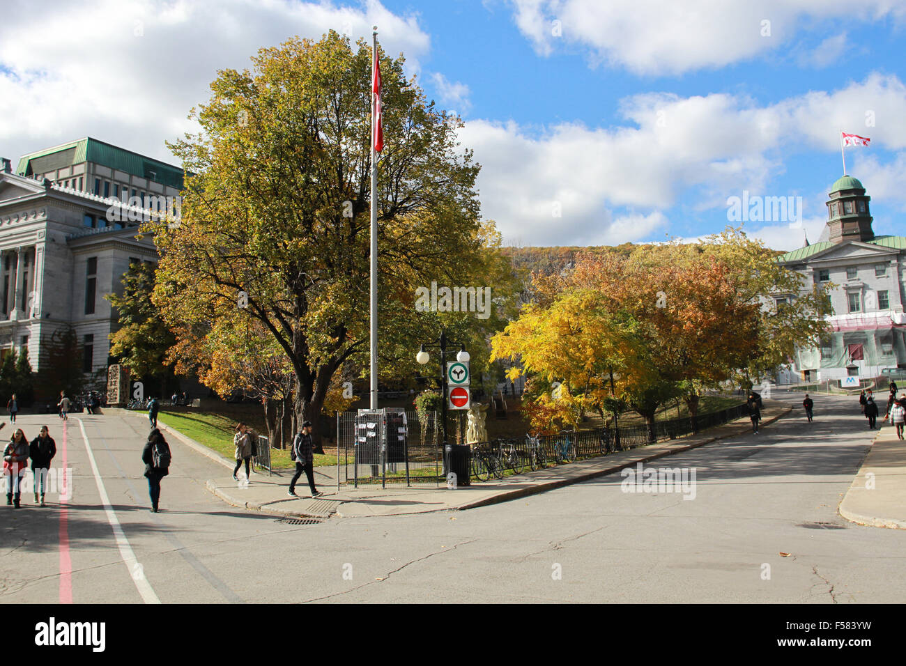 Campus de l'Université McGill à Montréal, Québec. Banque D'Images