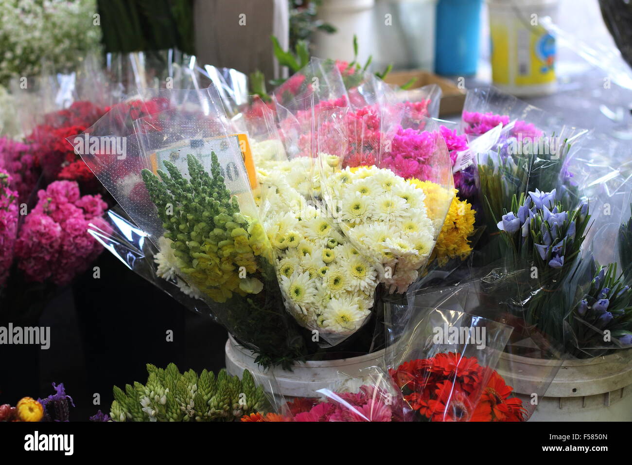 Les fleurs coupées pour la vente au marché Banque D'Images
