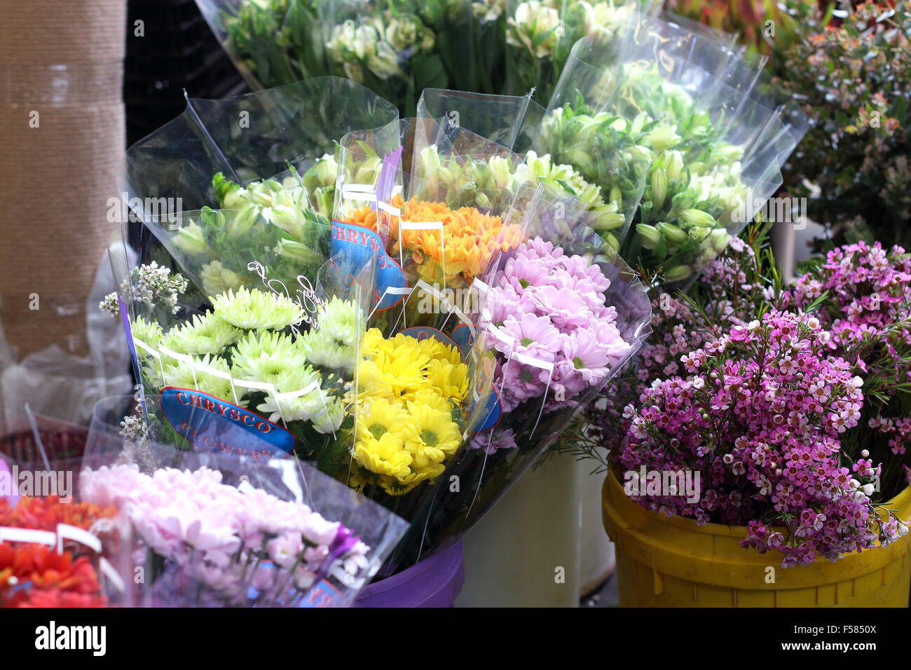Les fleurs coupées pour la vente au marché Banque D'Images