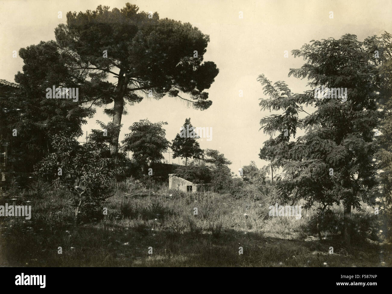 Une maison dans la campagne, Italie Banque D'Images