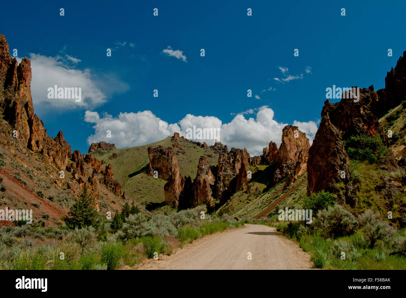 Leslie Gulch dans le comté de Malheur dans le sud-est de l'Oregon Banque D'Images