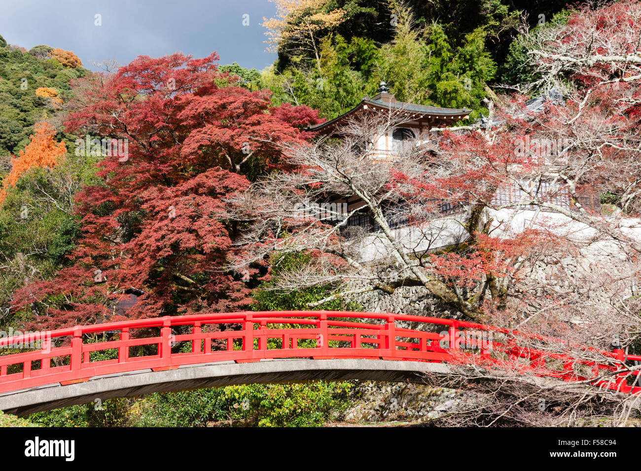 Le Japon, Mino. Avec pont rouge vermillon, rampes menant au temple à demi caché par les arbres. L'automne, les feuilles vertes et rouges. Tempête gris foncé ciel au-dessus. Banque D'Images Le Japon, Mino. Avec pont rouge vermillon, rampes menant au temple à demi caché par les arbres. L'automne, les feuilles vertes et rouges. Tempête gris foncé ciel au-dessus. Banque D'Images