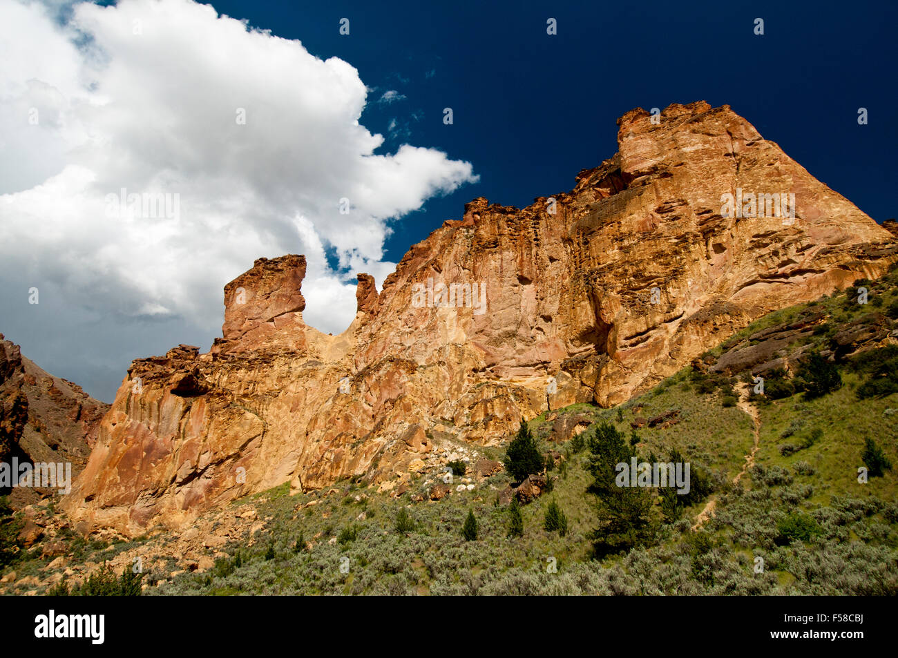 Leslie volcanique Gulch tuff soudé en formation Leslie Gulch, SE l'Oregon Banque D'Images