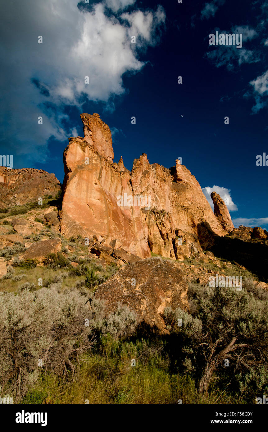 Leslie volcanique Gulch tuff soudé en formation Leslie Gulch, SE l'Oregon Banque D'Images