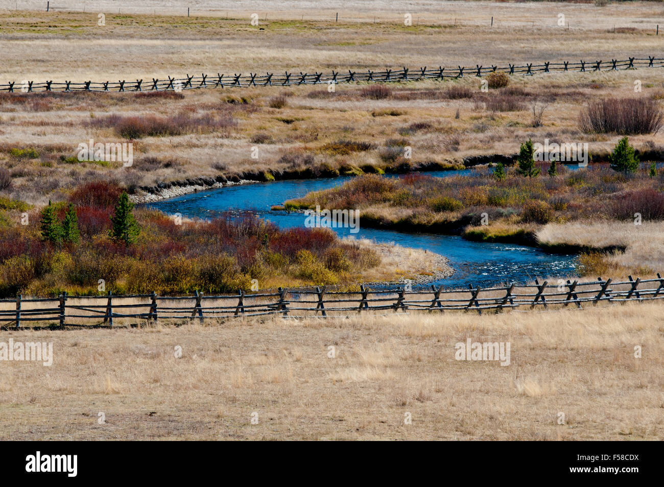 Dans la vallée du ruisseau de la scie National Recreation Area, Idaho, clôturé pour protéger et améliorer l'habitat riverain. Banque D'Images