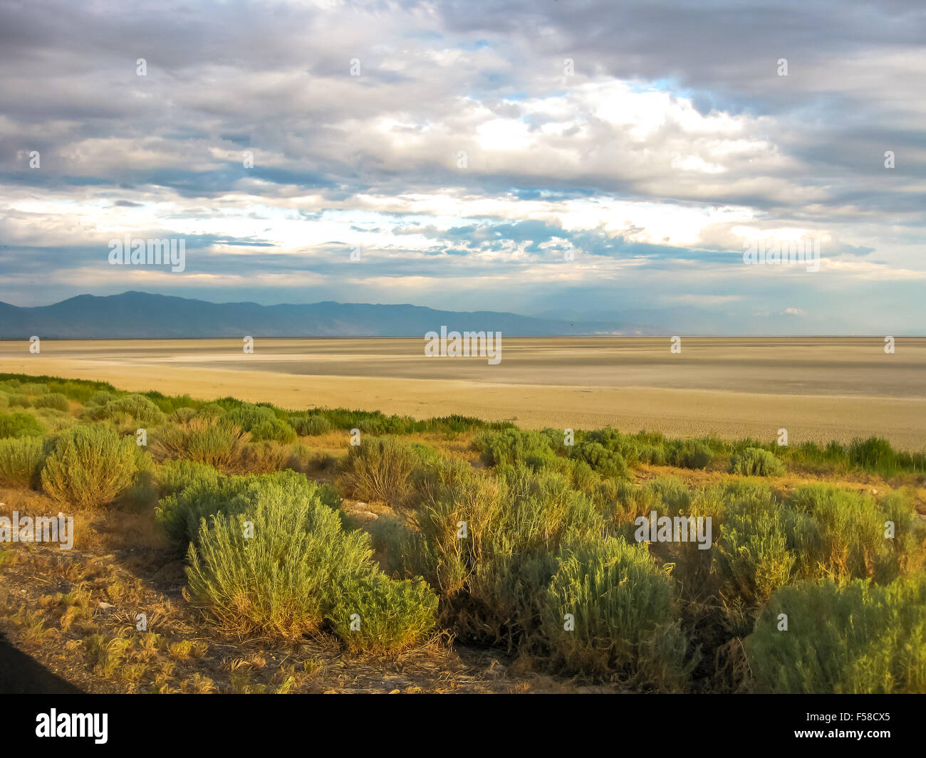 L'Utah Antelope Island Banque D'Images
