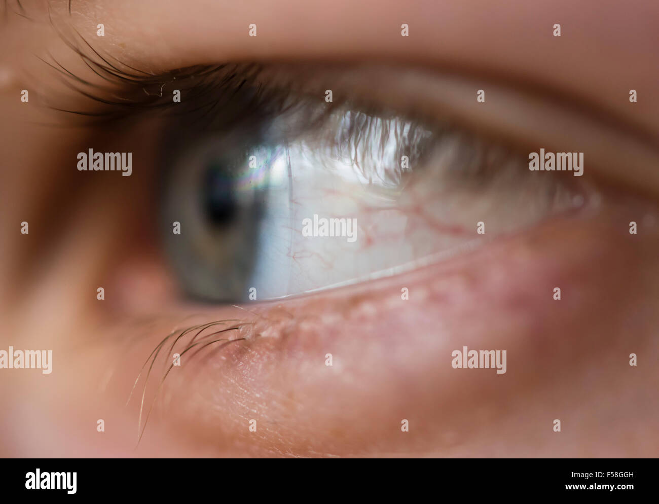 Close-up d'un œil humain avec une lentille de contact. Banque D'Images