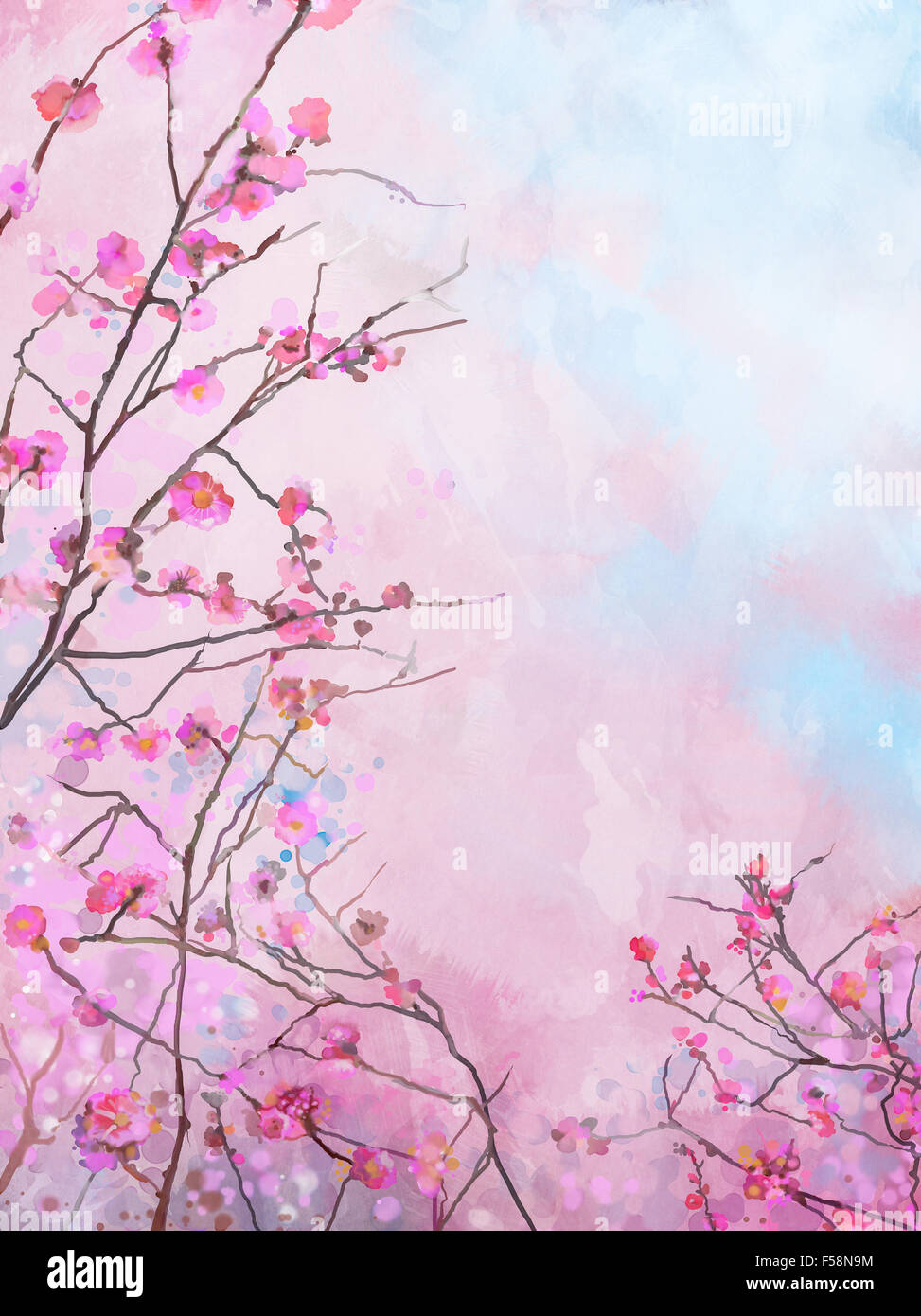 Peinture pink floral fleur de printemps l'arrière-plan. Couleur de l'eau fleurs de cerisier japonais peint floral - sakura, dans des tons doux retour Banque D'Images
