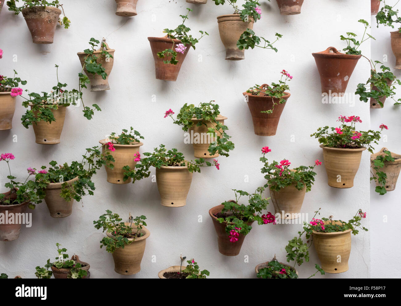 Cour avec jardin, jardinage vertical - fleurs en pots attachés à un mur blanc Banque D'Images