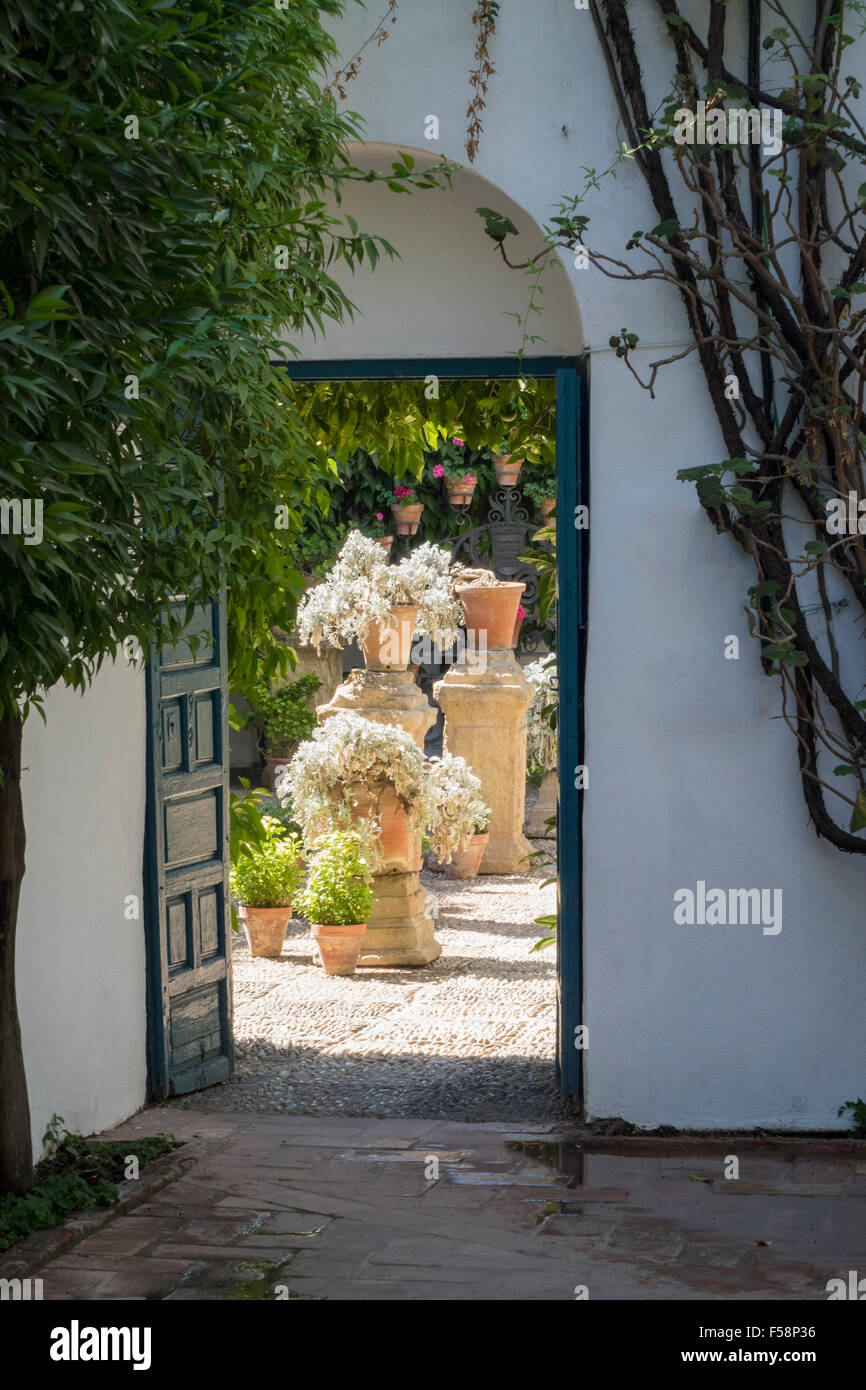 Ouvrir la porte de jardin et des cours dans le Palais de Viana à Cordoue, Andalousie, Espagne Banque D'Images