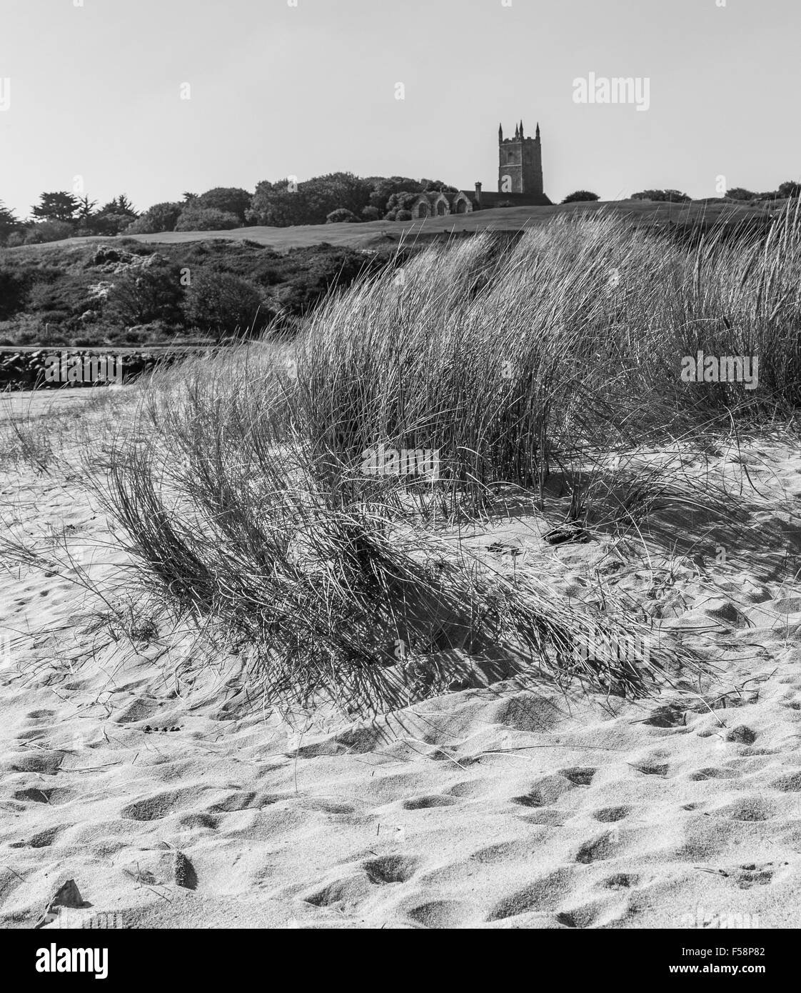 L'ammophile des graminées et des dunes de sable située à Hayle Towans à Cornwall, UK. Banque D'Images