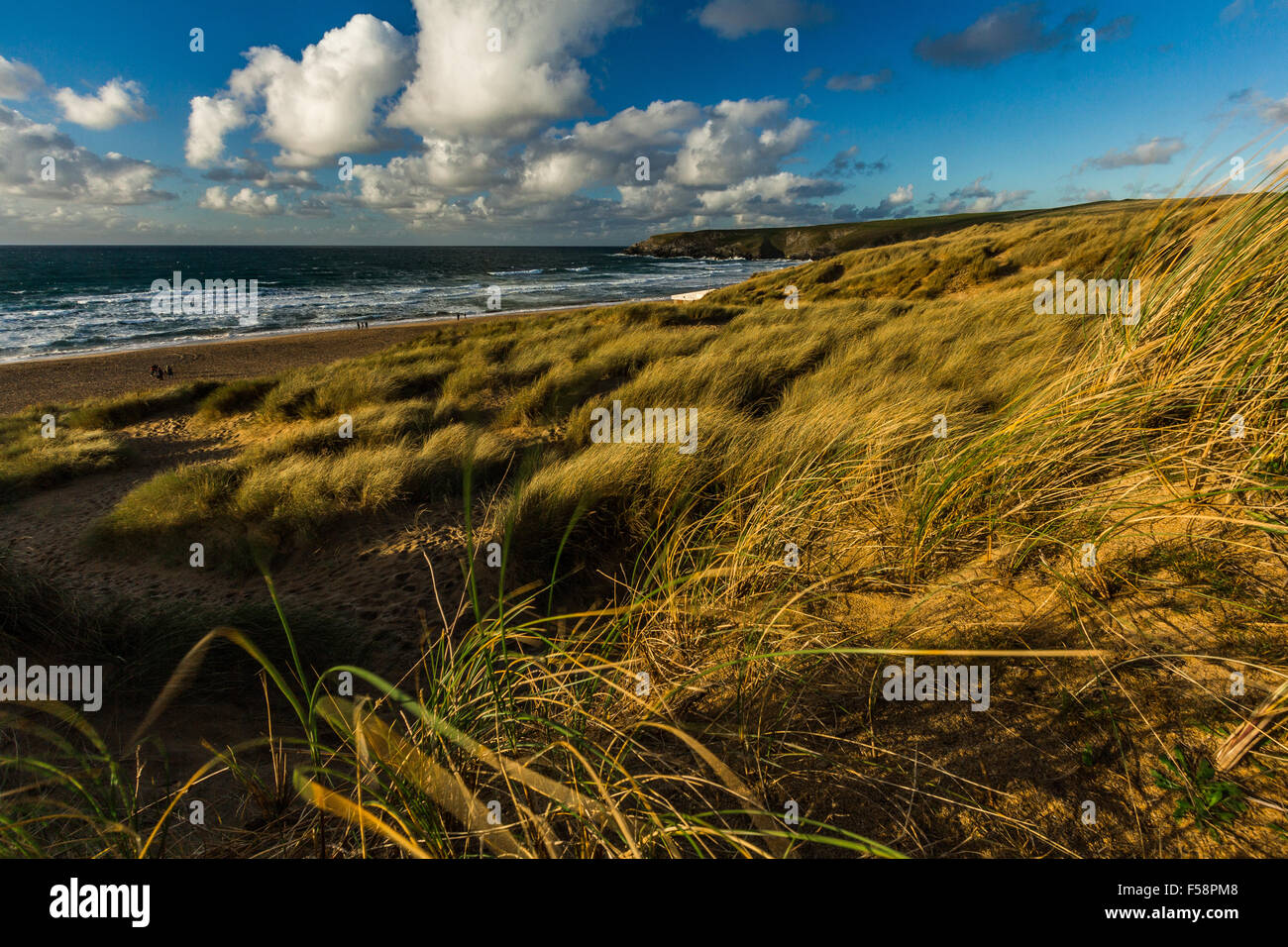 L'ammophile des graminées et des dunes de sable située à Baie de Holywell à Cornwall au cours de la lumière du soir près de coucher du soleil. Banque D'Images