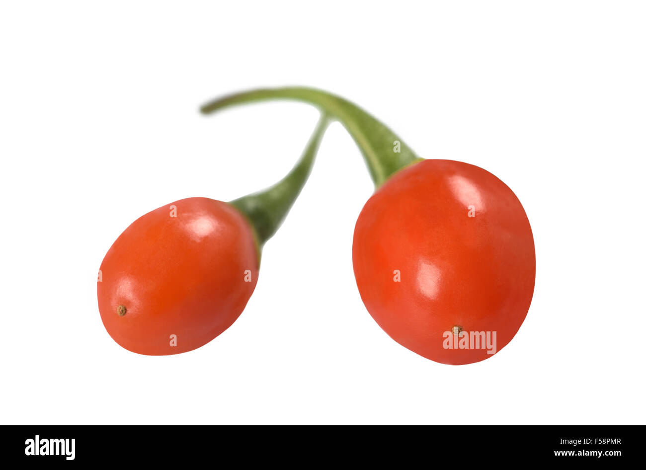 Le Goji Berry isolé sur fond blanc. Banque D'Images