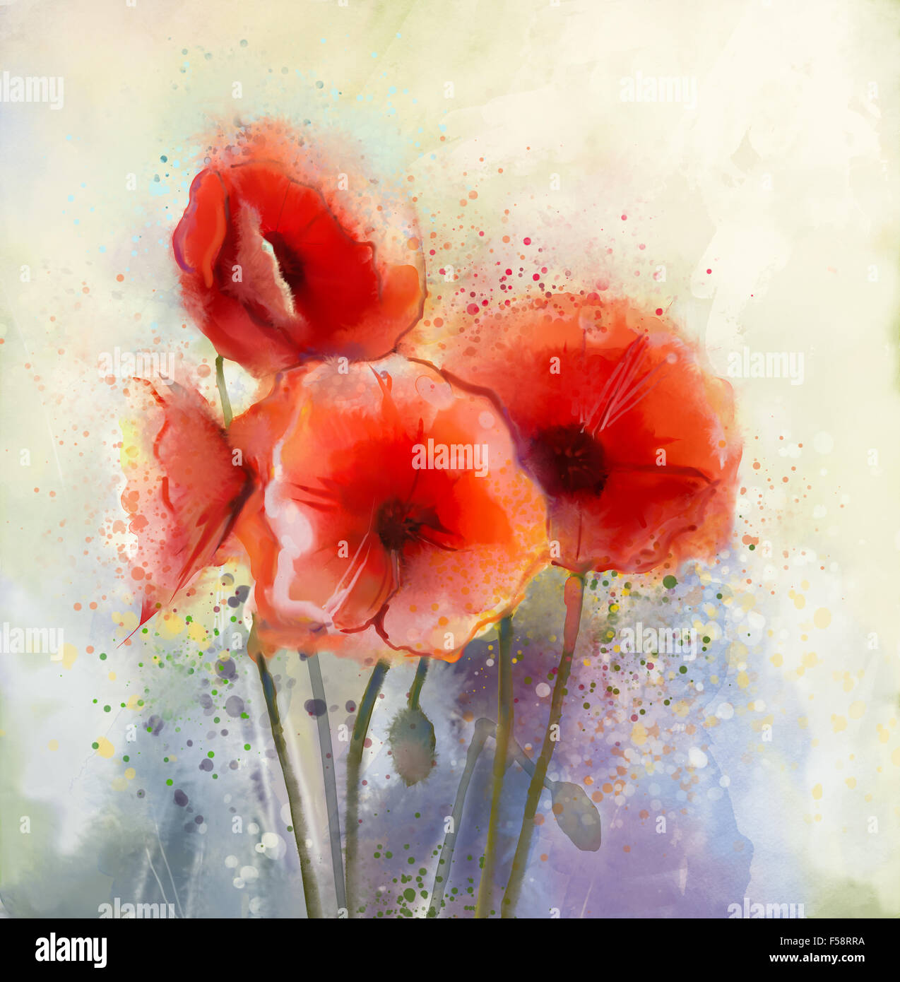 Fleurs de pavot rouge couleur de l'eau de la peinture. Des fleurs dans des tons doux et style flou pour l'arrière plan. Vintage fleurs peinture Banque D'Images