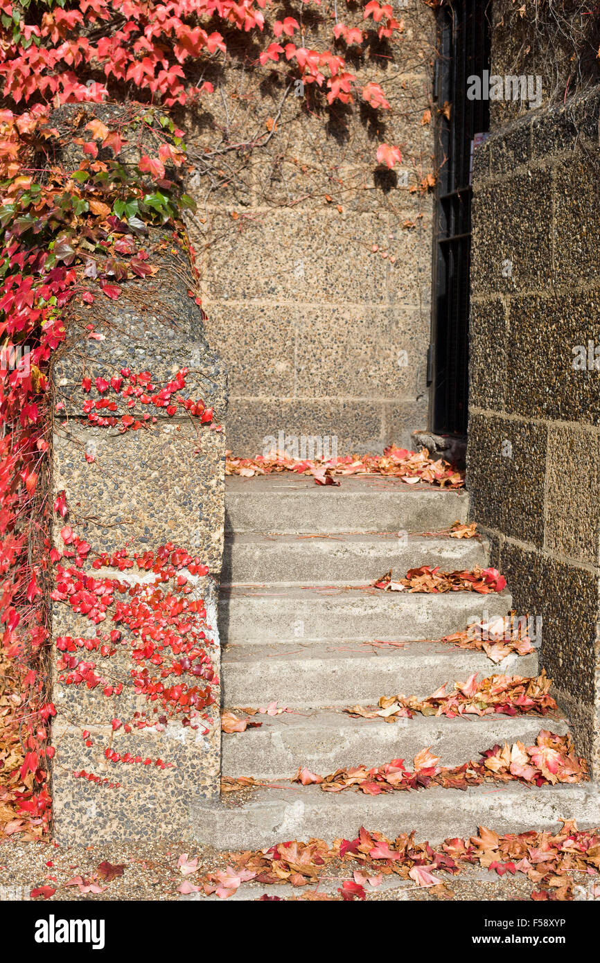 Marches de pierre couvert de feuilles colorées d'automne Banque D'Images