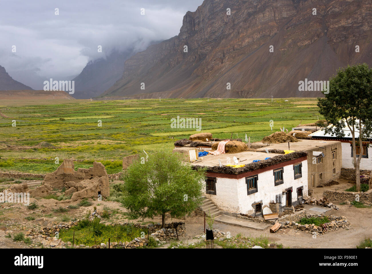 L'Inde, l'Himachal Pradesh, le Spiti Valley, Hull (Hal), le village et les champs agricoles fertiles Banque D'Images