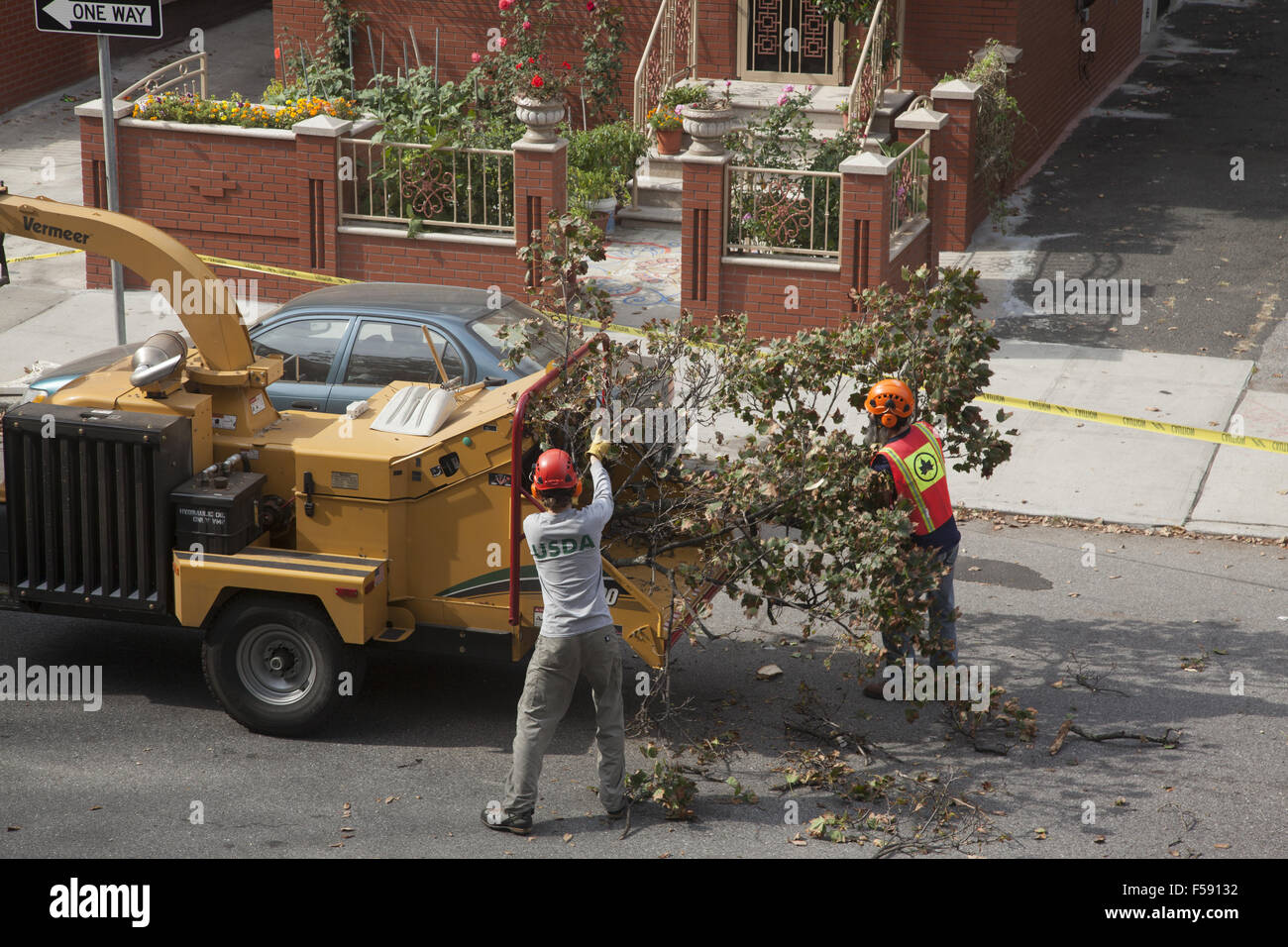 Le retrait d'arbres NYC crew couper un arbre en danger s'éteindre pendant une tempête. Brooklyn, New York. Banque D'Images