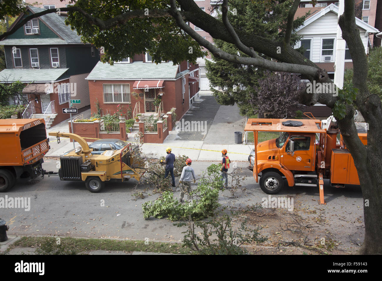 Le retrait d'arbres NYC crew couper un arbre en danger s'éteindre pendant une tempête. Brooklyn, New York. Banque D'Images