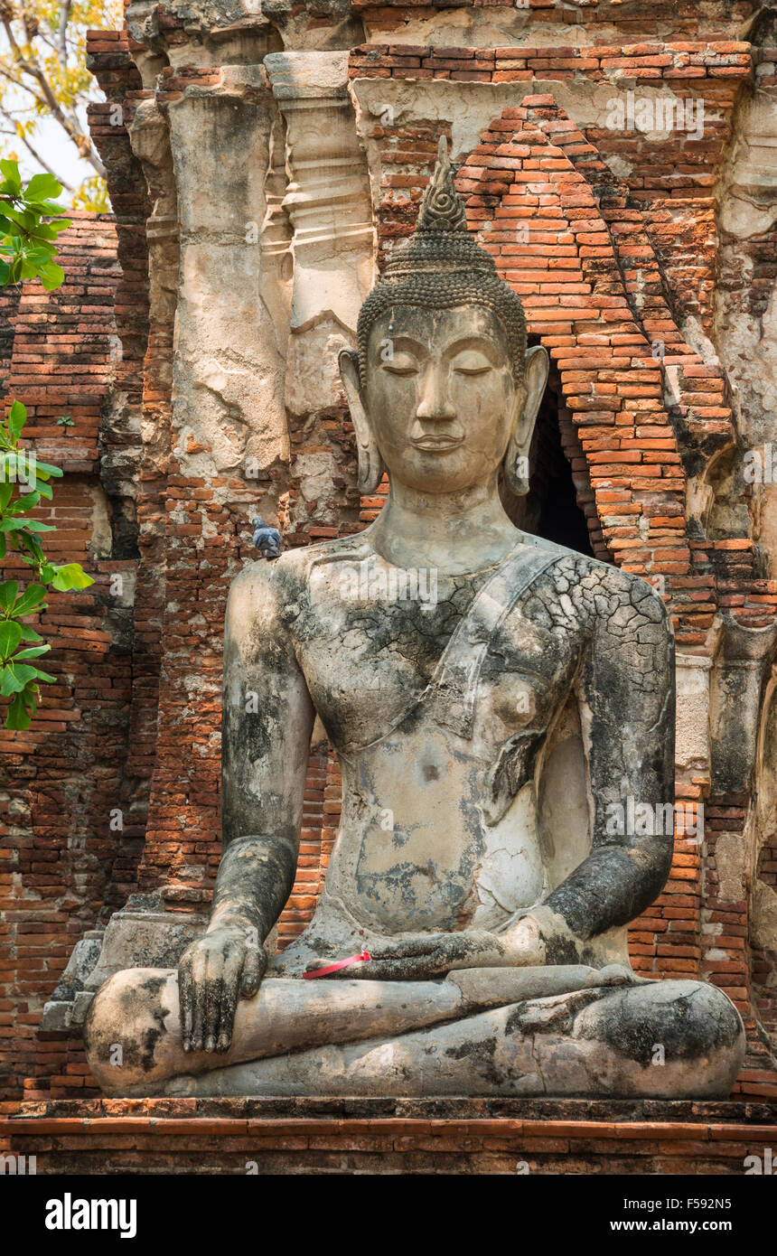 Statue de Bouddha, Wat Mahathat, Ayutthaya, Wat Chang Phra Nakhon Si Ayutthaya, Thaïlande Banque D'Images