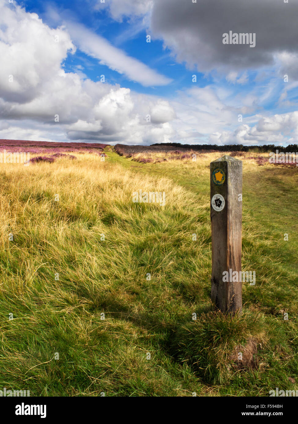 La St Cuthberts chemin sur la lande de bruyère Wooler près de Parc National de Northumberland England Banque D'Images