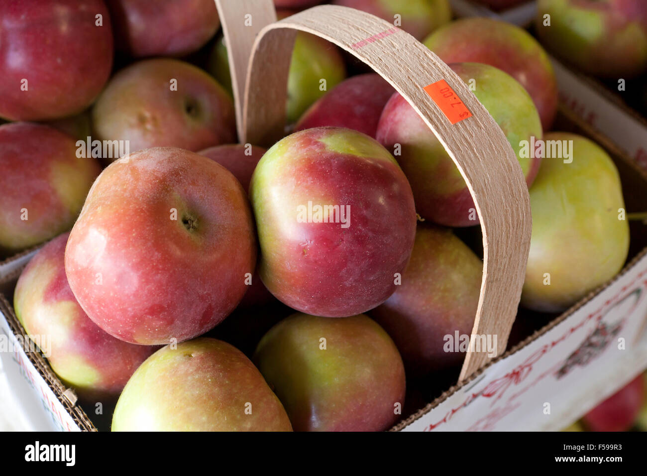 Les pommes McIntosh au farmers market - USA Banque D'Images