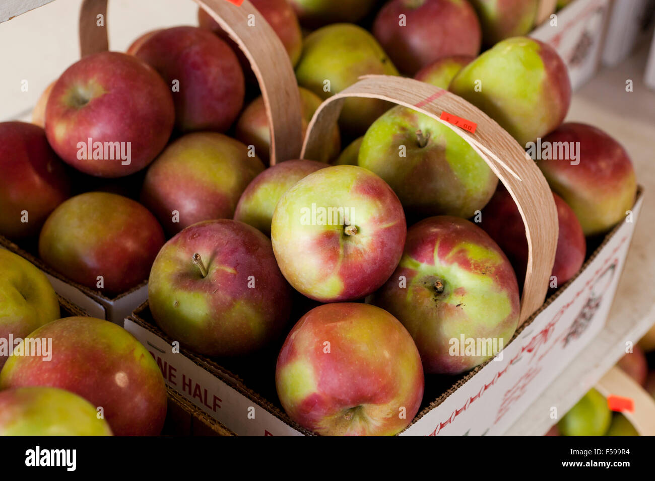 Les pommes McIntosh au farmers market - USA Banque D'Images