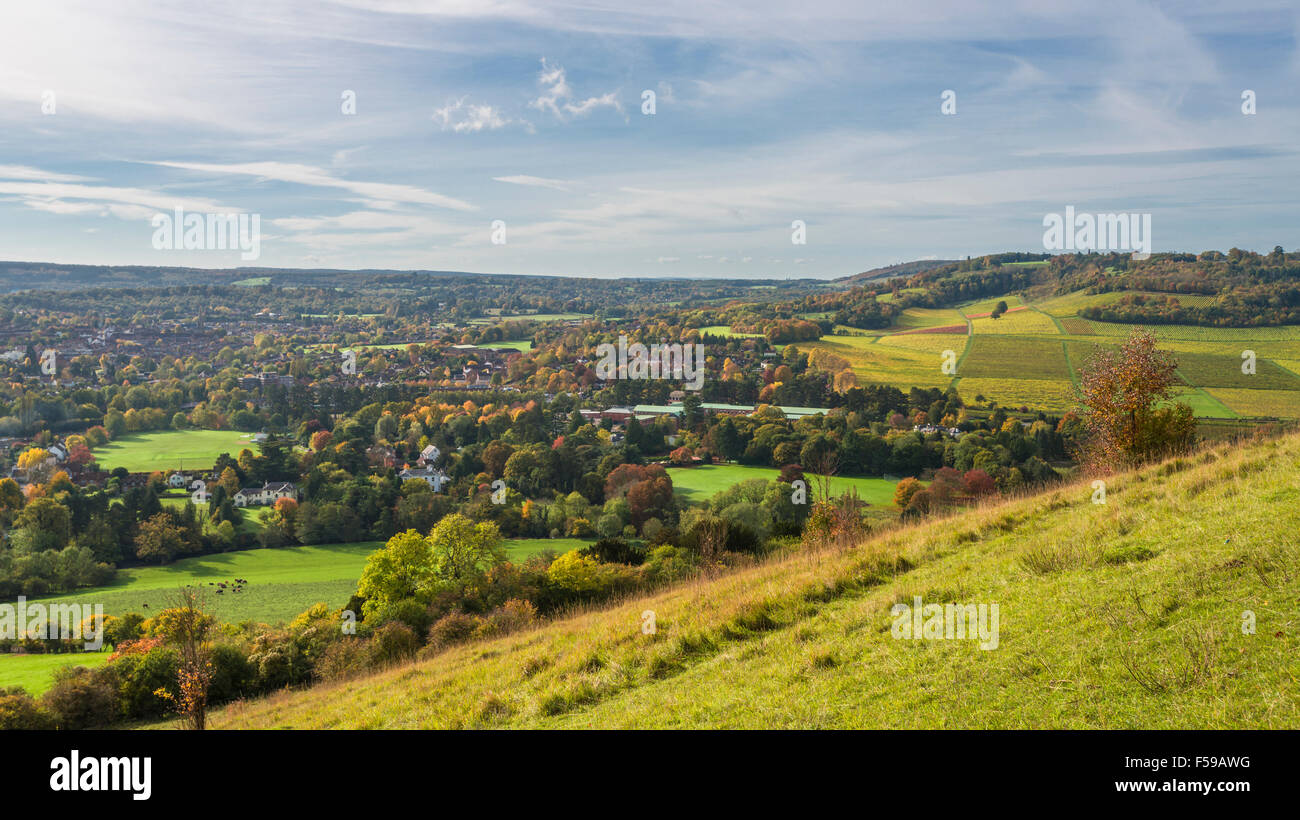 Vue sur la campagne anglaise à l'automne, les couleurs des North Downs à Surrey Banque D'Images