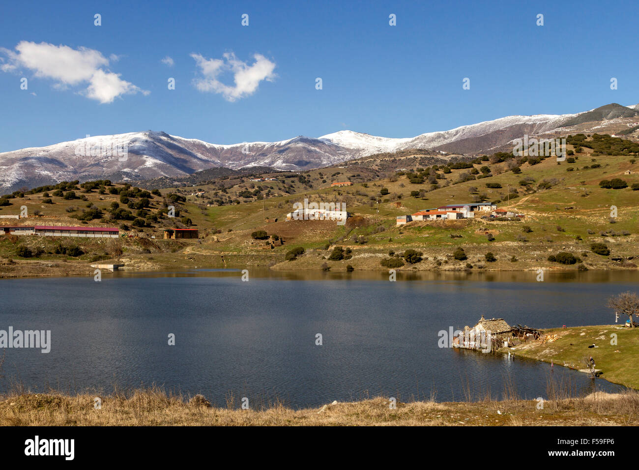 Paysage à la lac artificiel de Livadi, en Grèce centrale, l'Europe. Banque D'Images