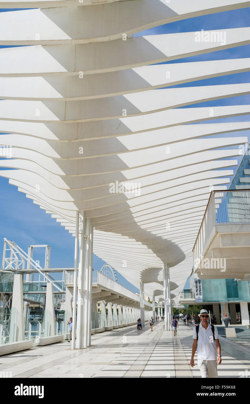 El Palmeral de las Sorpresas, promenade au port. Málaga, Andalousie, Espagne Banque D'Images