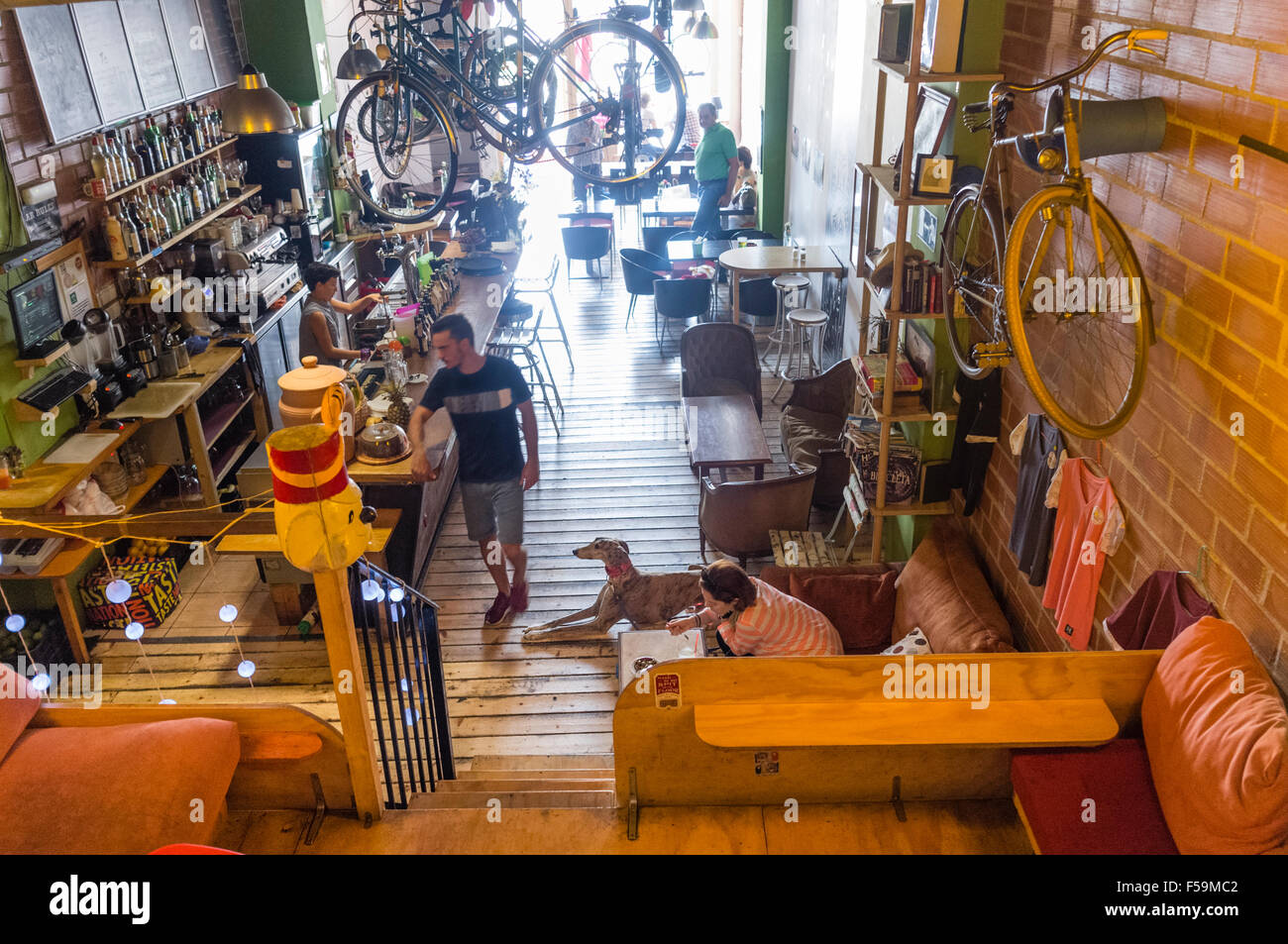 Jeune femme Bike-Café avec Greyhound dans Recyclo à Malaga, Andalousie, espagne. Banque D'Images