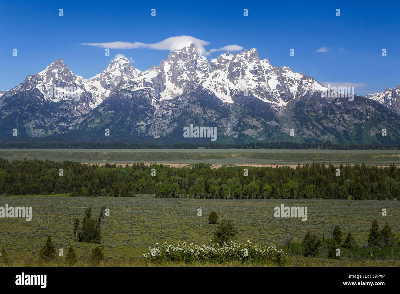 Le Grand Teton mountain range et prairies dans le Parc National de Grand Teton, Wyoming, États-Unis. Banque D'Images