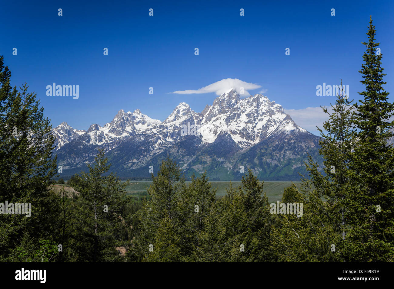 Le Grand Teton mountain range et prairies dans le Parc National de Grand Teton, Wyoming, États-Unis. Banque D'Images