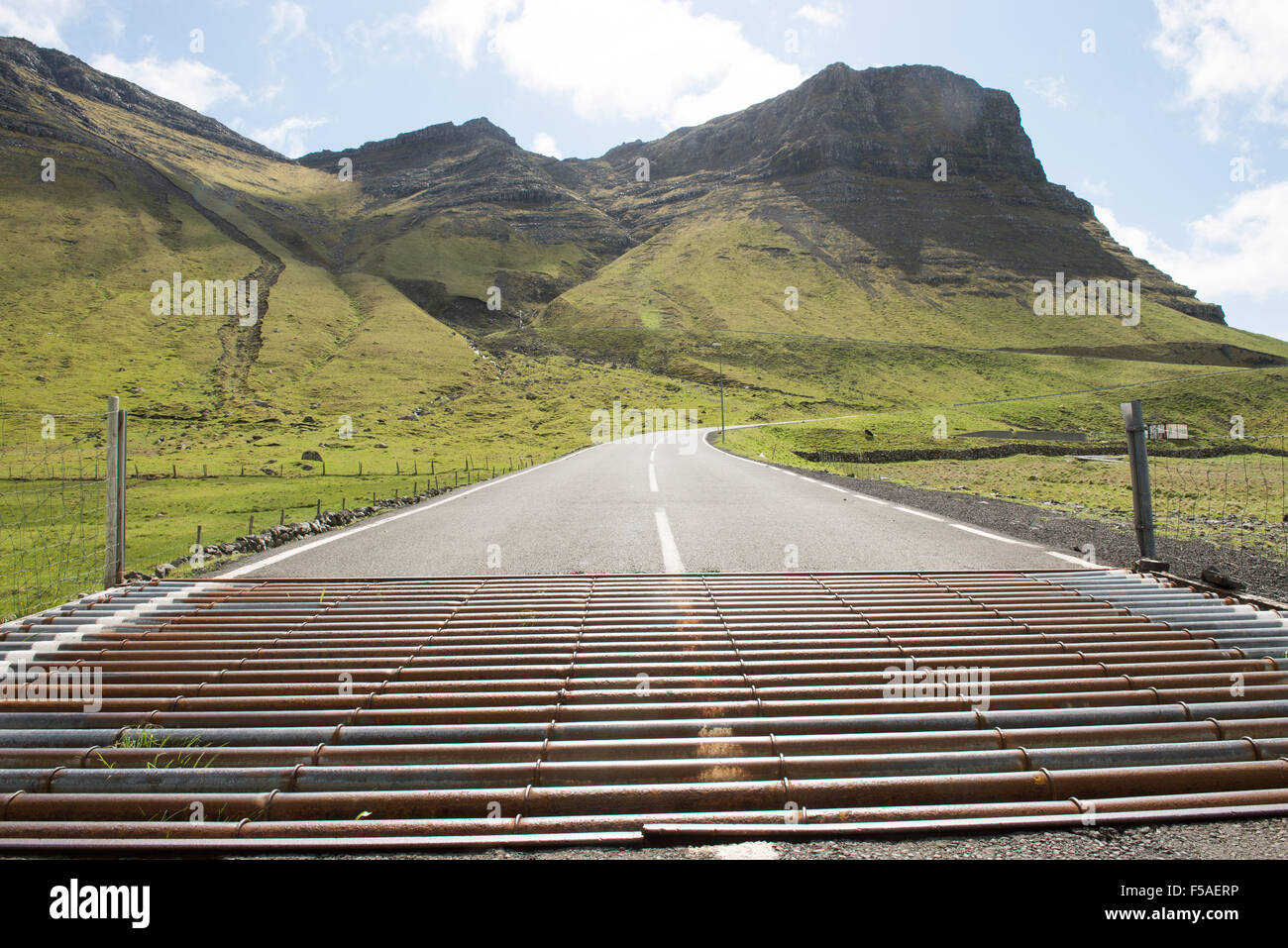 Grille de bovins sur les îles Féroé avec vue sur la montagne dans l'arrière-plan Banque D'Images