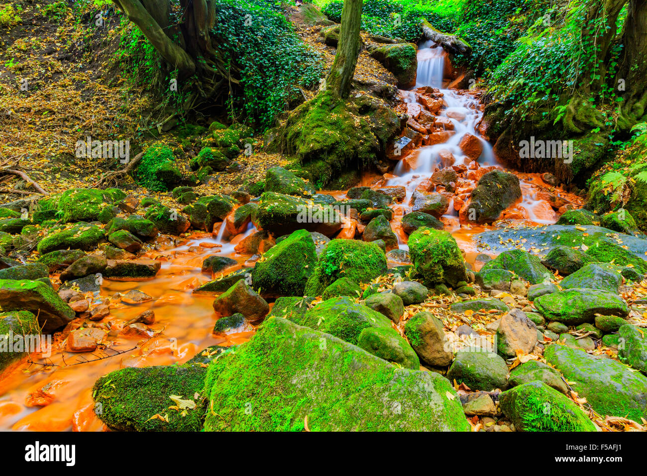 Voir de belle cascade dans le Czech-Saxony la Suisse. Banque D'Images