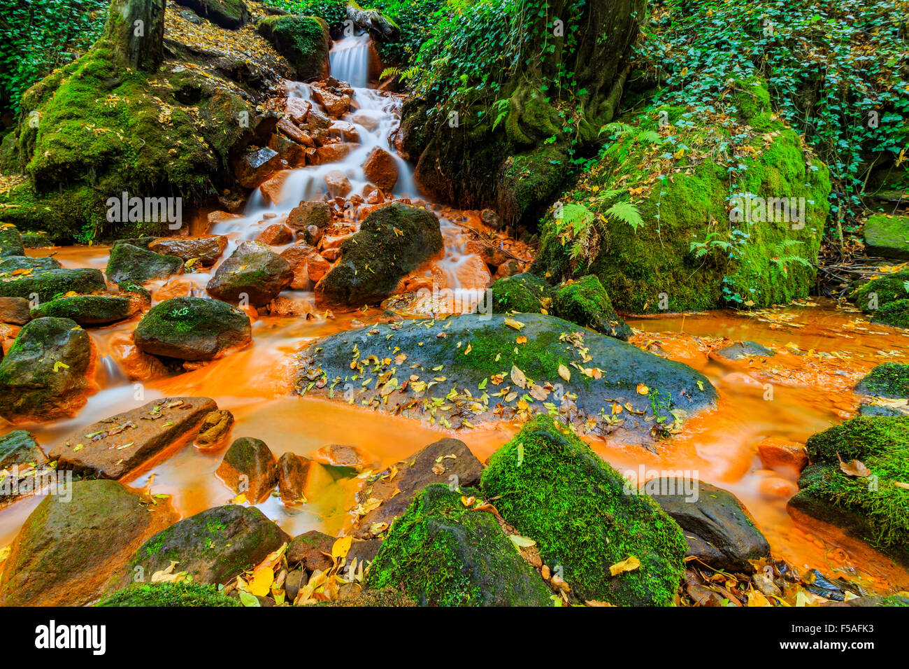 Voir de belle cascade dans le Czech-Saxony la Suisse. Banque D'Images
