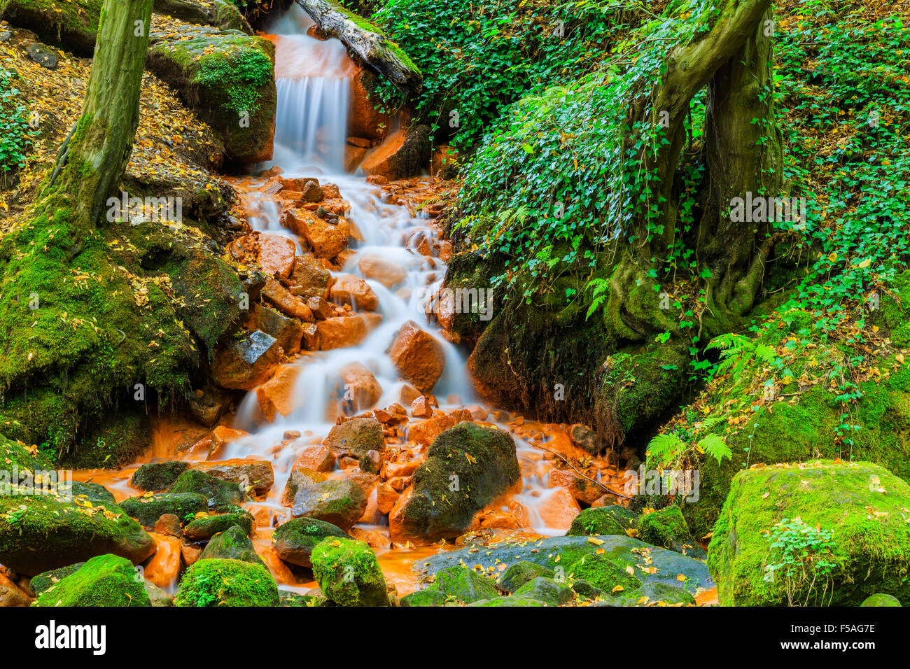 Voir de belle cascade dans le Czech-Saxony la Suisse. Banque D'Images