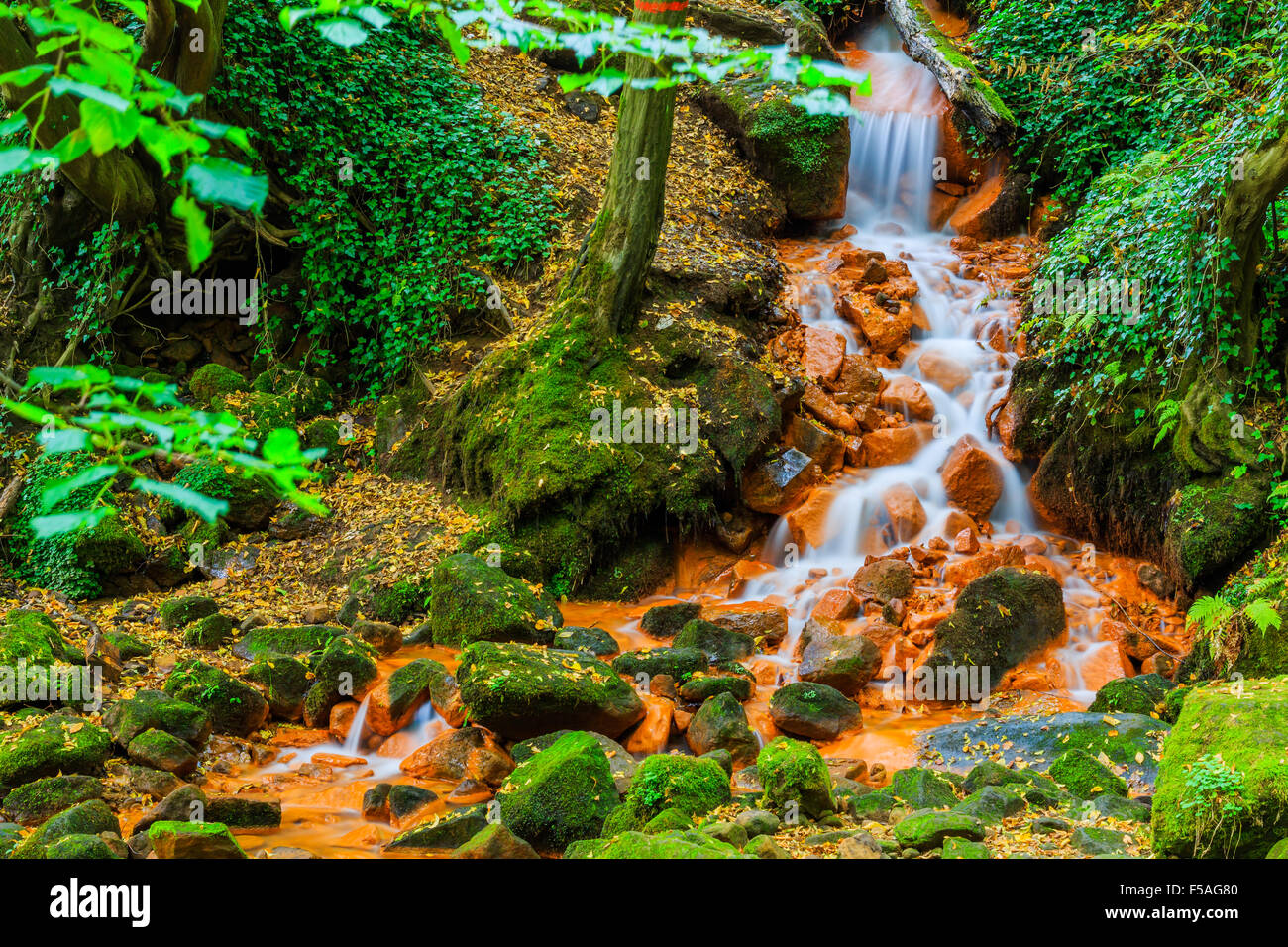 Voir de belle cascade dans le Czech-Saxony la Suisse. Banque D'Images