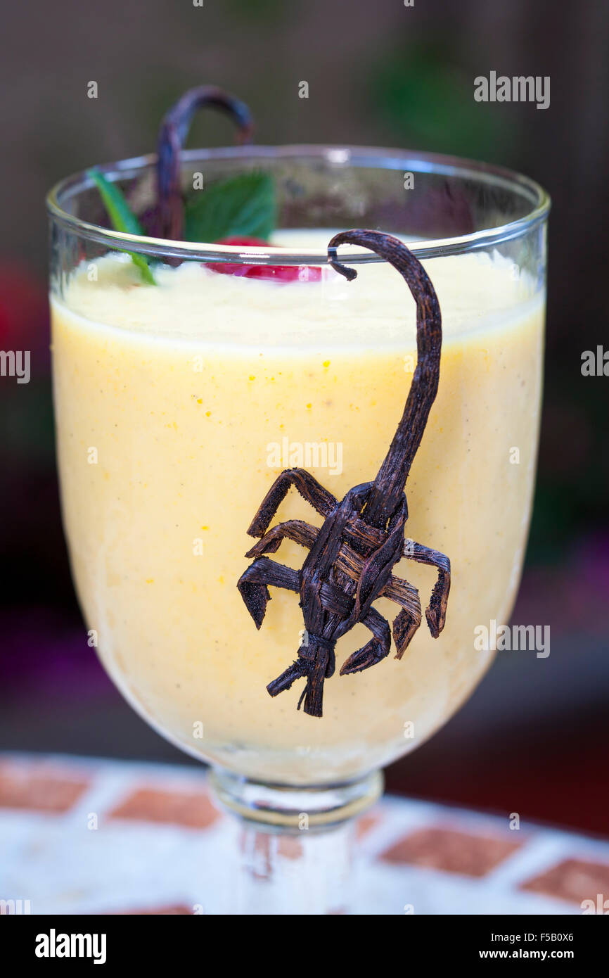 Une base de mangue Boisson appelée Paradis tropical décorée avec une gousse de vanille dans la forme d'un scorpion à Papantla, au Mexique. Banque D'Images