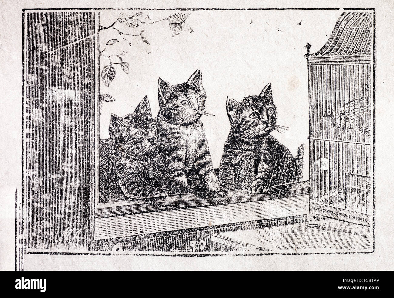 Les chats à la recherche d'oiseaux à gravure ancienne Banque D'Images
