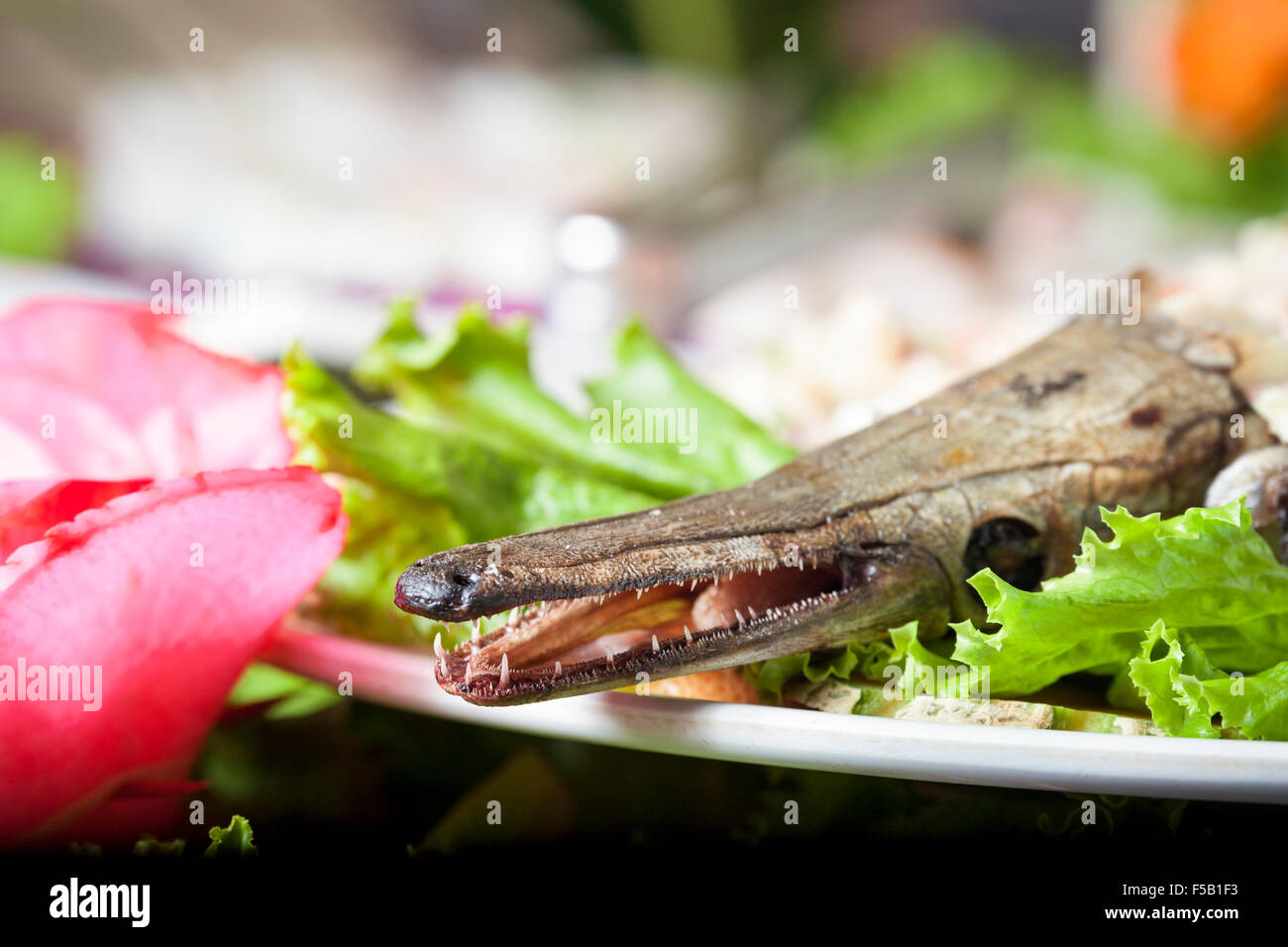 Une spécialité locale, ou d'eau douce pejelagarto gar, dans un Villahermosa, Tabasco, Mexique restaurant de fruits de mer. Banque D'Images