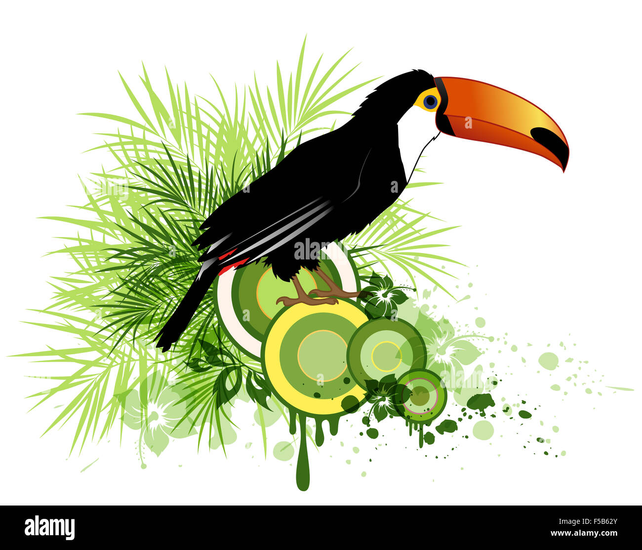 Arrière-plan de décoration de l'été avec des fleurs tropicales, de green palm et d'oiseaux Banque D'Images