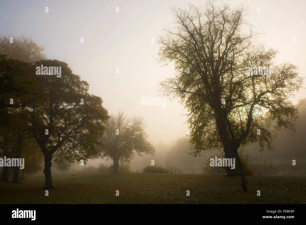 Matin brumeux par le tweed à Peebles, Scottish Borders Banque D'Images