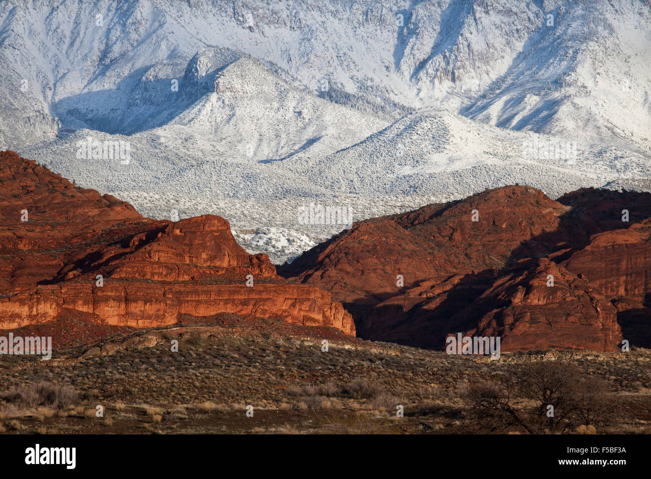 Montagnes couvertes de neige contre les Red Hills et le désert au Red Cliffs National Conservation Area, où le Plateau du Colorado, le désert du Grand Bassin, et chevauchement du désert de Mojave, près de Saint George, Utah. Banque D'Images