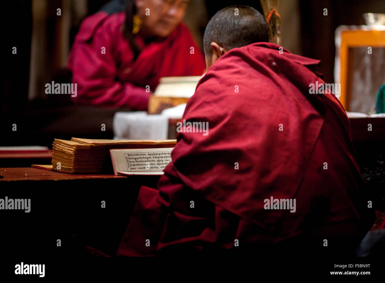 Le moine bouddhiste lecture écritures d'une religion au monastère Hanle Banque D'Images