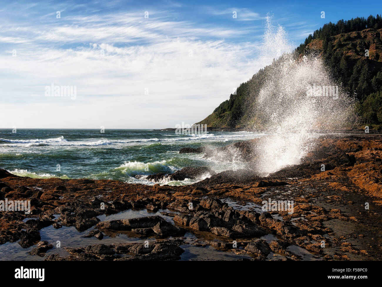 Les voisins musicaux de vagues contre la côte rocheuse de l'Oregon's Cape Perpetua Scenic Area. Banque D'Images